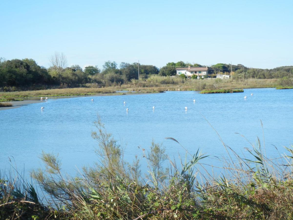 Casa Vacanze Mare Lido di Scacchi Bagian luar foto